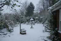 Garden under snow Nov 2008