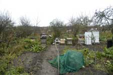 allotment in november